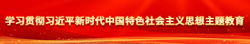 艹逼逼屄在线观看国产啊啊啊啊……啊啊学习贯彻习近平新时代中国特色社会主义思想主题教育